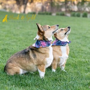 Fundraising Page: Beth Wild